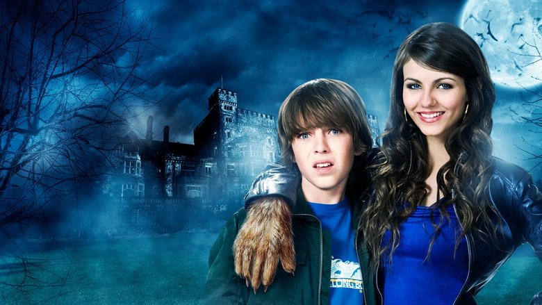video-section-banner-image