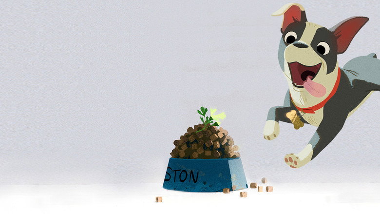 video-section-banner-image