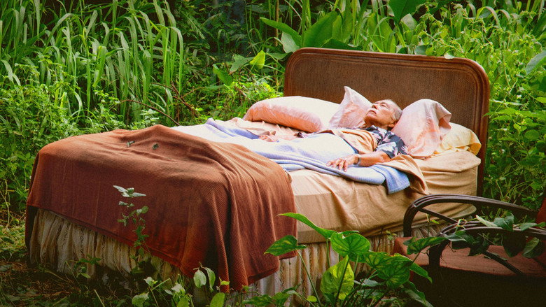 video-section-banner-image
