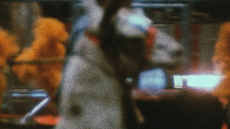video-section-banner-image