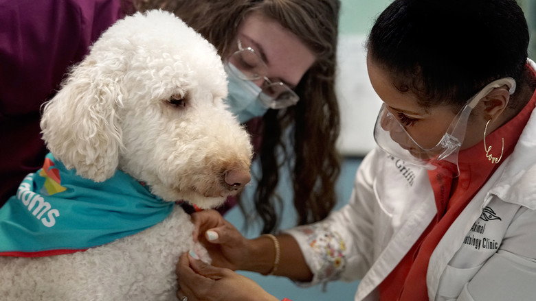 Dra. Joya: Dermatologista Animal - S01E01 - Episódio 1
