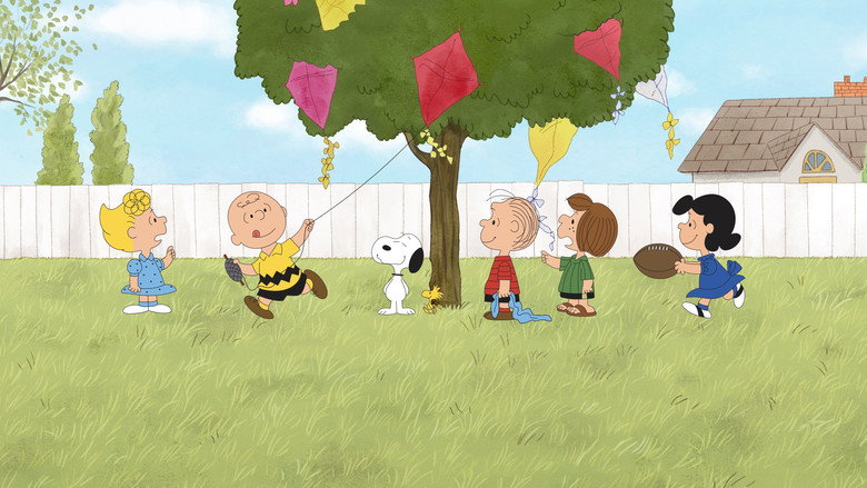 video-section-banner-image
