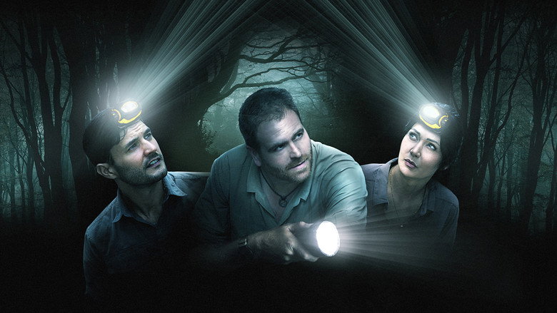 video-section-banner-image
