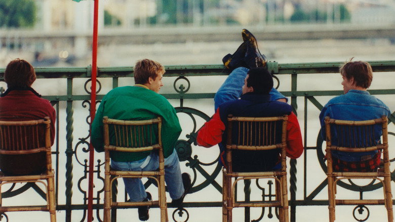 video-section-banner-image