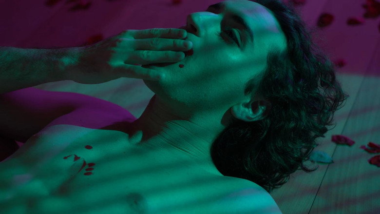 video-section-banner-image