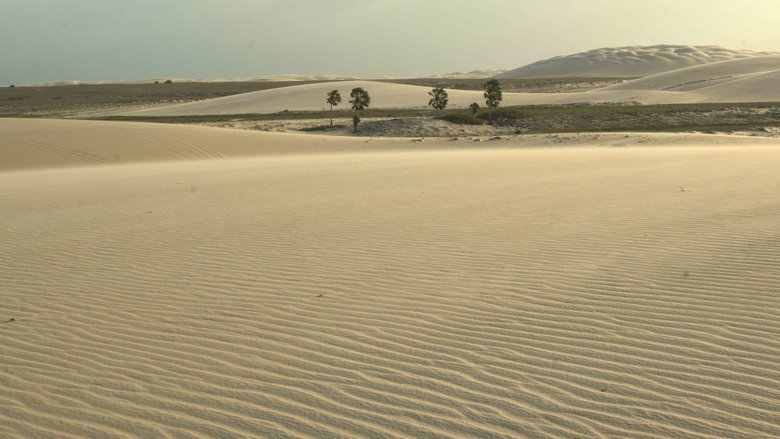 video-section-banner-image
