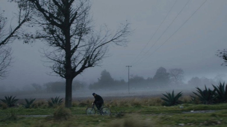 video-section-banner-image