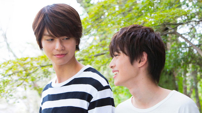 video-section-banner-image