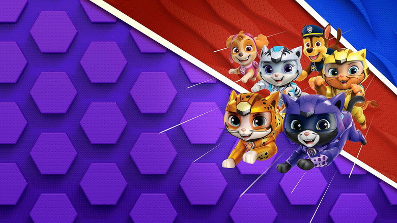 video-section-banner-image
