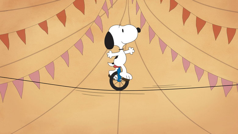 video-section-banner-image