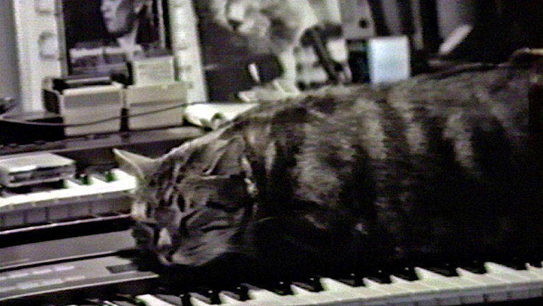 video-section-banner-image