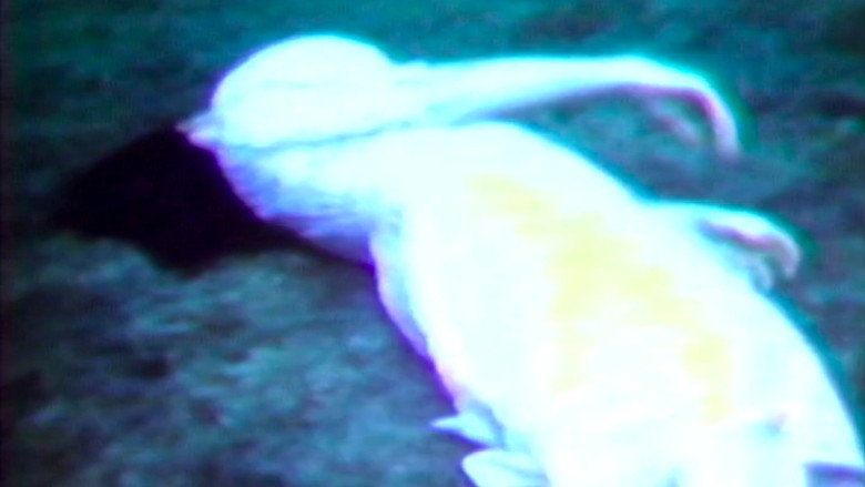 video-section-banner-image
