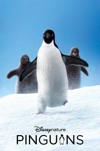 Pinguins (2019) [LEG]