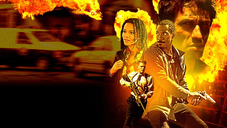 video-section-banner-image