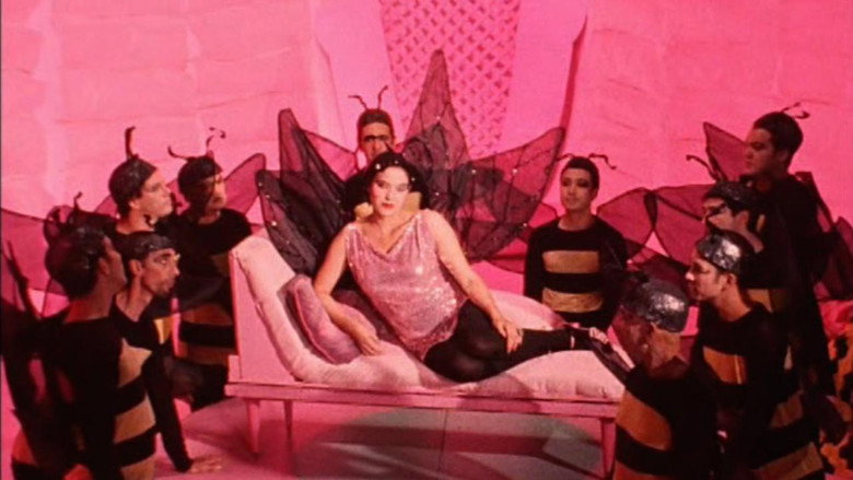 video-section-banner-image