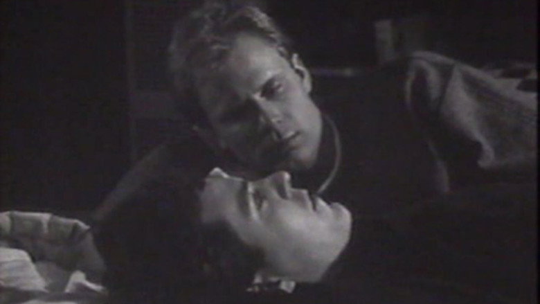 video-section-banner-image