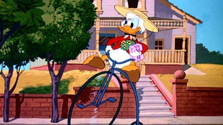 video-section-banner-image