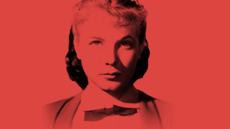 video-section-banner-image