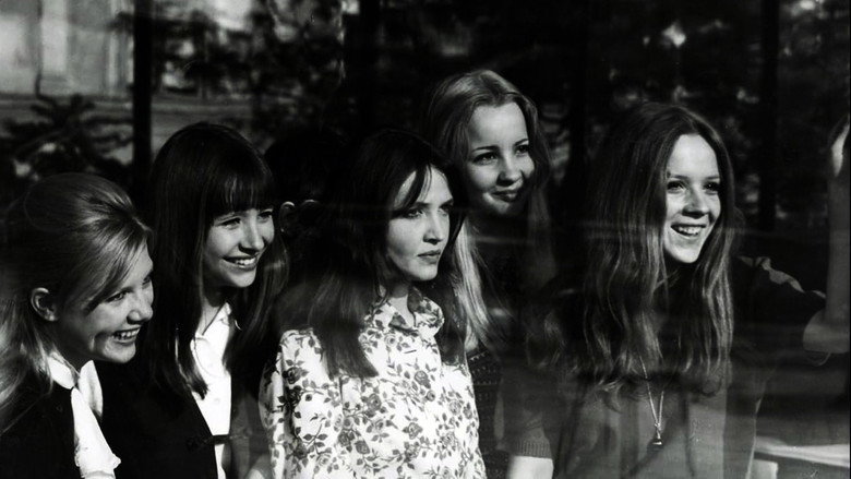 video-section-banner-image