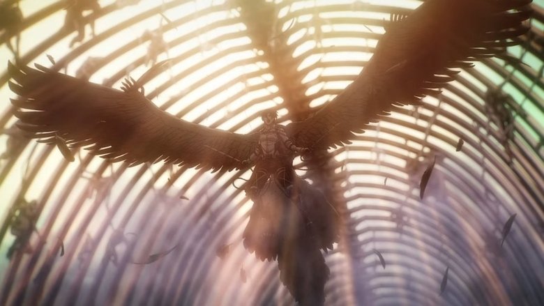 video-section-banner-image