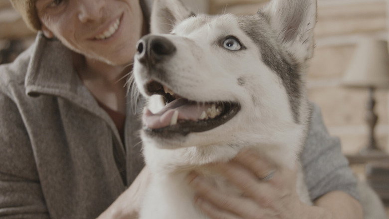 video-section-banner-image