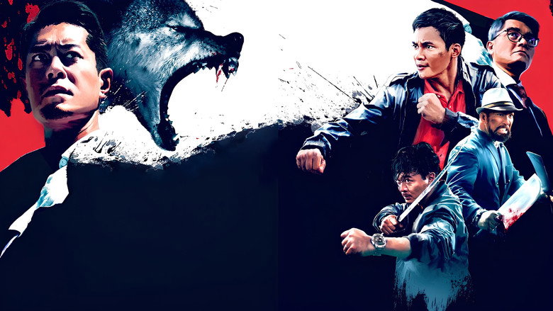 video-section-banner-image
