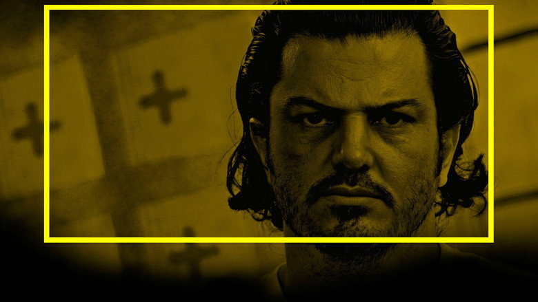 video-section-banner-image