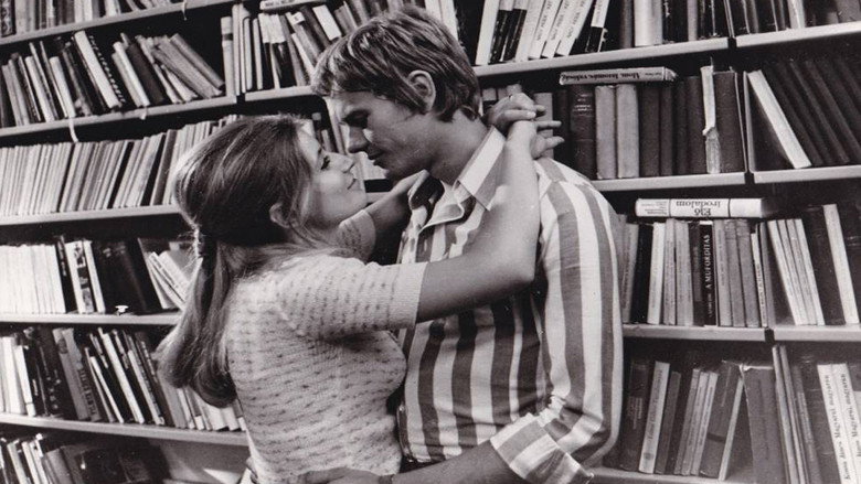 video-section-banner-image