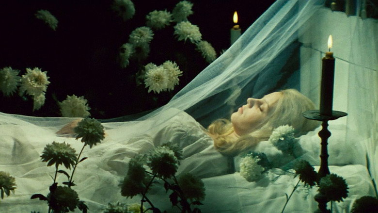 video-section-banner-image