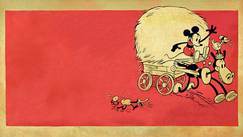 video-section-banner-image