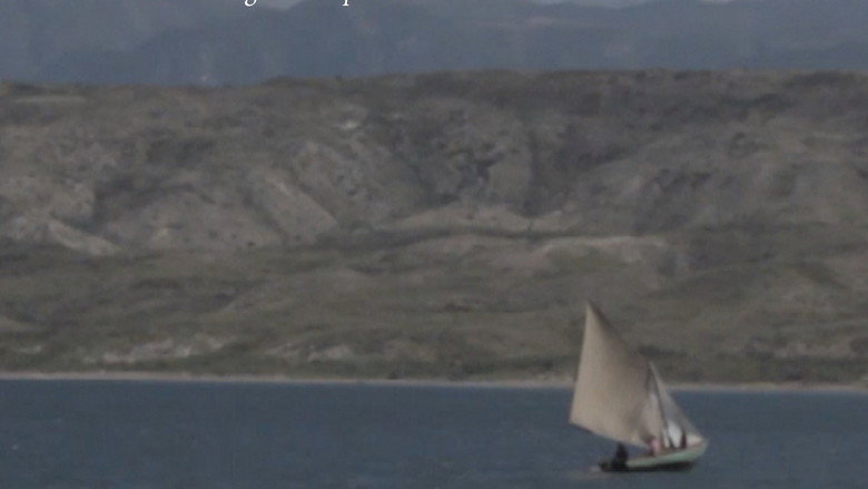 video-section-banner-image