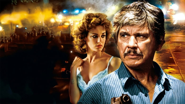 video-section-banner-image