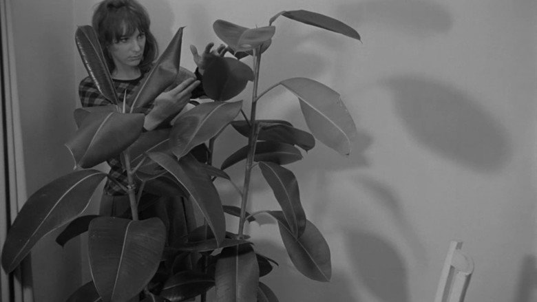 video-section-banner-image