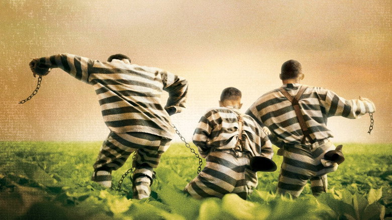 video-section-banner-image