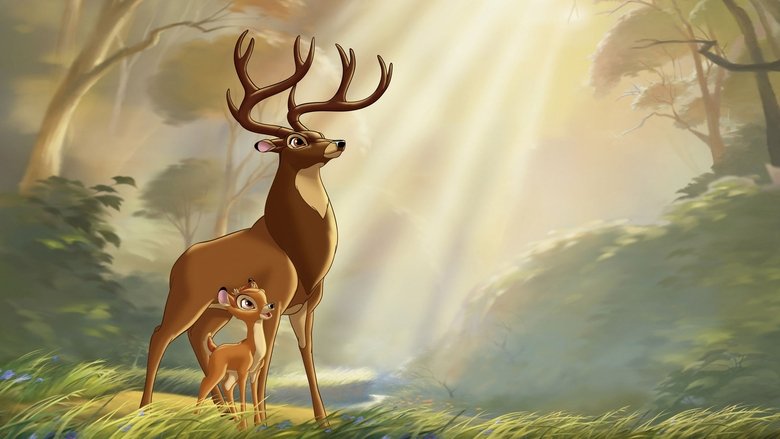 video-section-banner-image