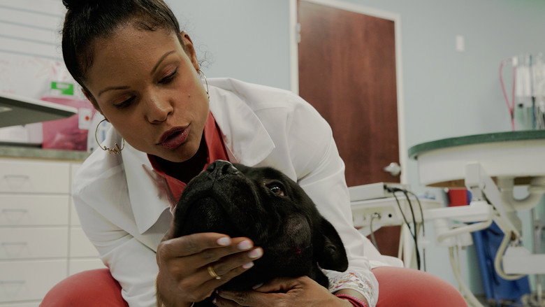 Dra. Joya: Dermatologista Animal - S01E07 - Episódio 7